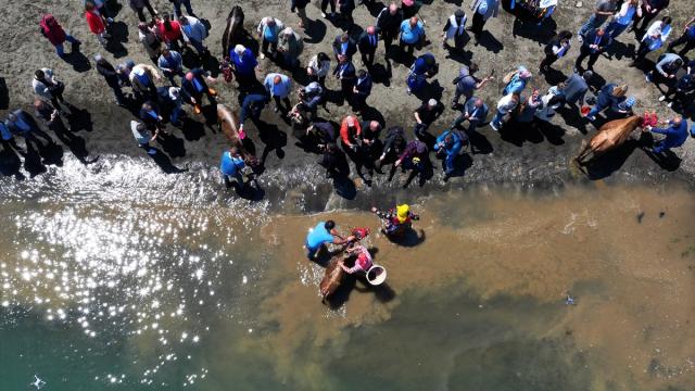 Trabzon'da yaylalara göçü temsil eden "Mayıs 7'si Festivali" yapıldı