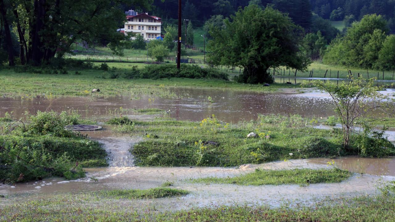 BOLU