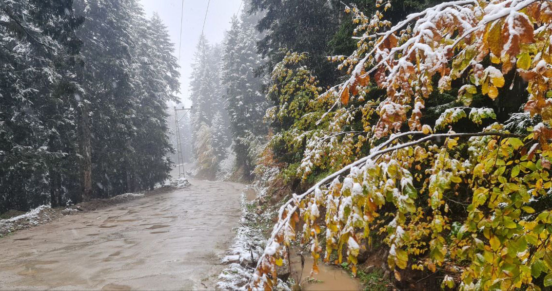 RİZE