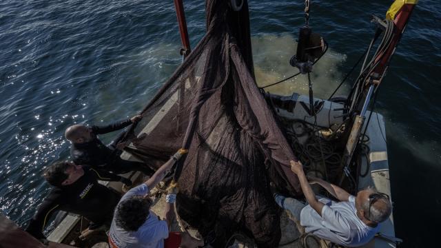 Marmara Denizi'nden Çamlıca Kulesi'ni baştan aşağı örtebilecek büyüklükte hayalet ağ çıkarıldı