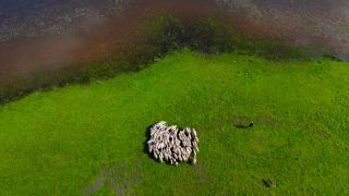 Denizli'nin saklı cenneti "Yayla Gölü" doğaseverleri bekliyor