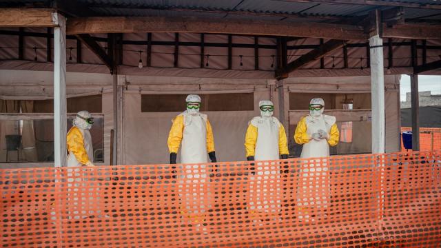 Kongo Demokratik Cumhuriyeti'ndeki Ebola salgını