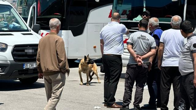 Elazığ'da Otobüs Terminalinde Kurt Cinsi Köpeğin Saldırdığı Kadın Yaralandı
