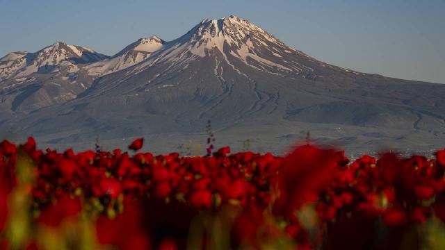 Aksaray'da ilkbahar