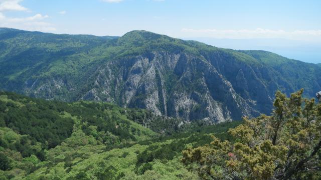 Kazdağı Milli Parkı'nda 19 Bin Hektarlık Alan 15 Haziran'dan İtibaren Girişe Kapatılıyor