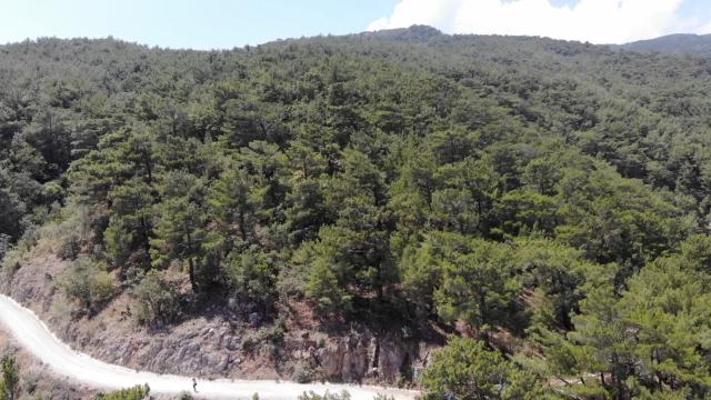 Aksaray'da ormanlık alanlara girişler 15 Ekim'e kadar yasaklandı