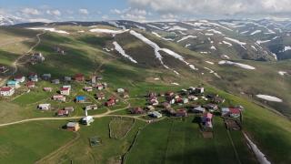 Trabzon'un yaylaları doğal güzellikleriyle ziyaretçilerini ağırlıyor