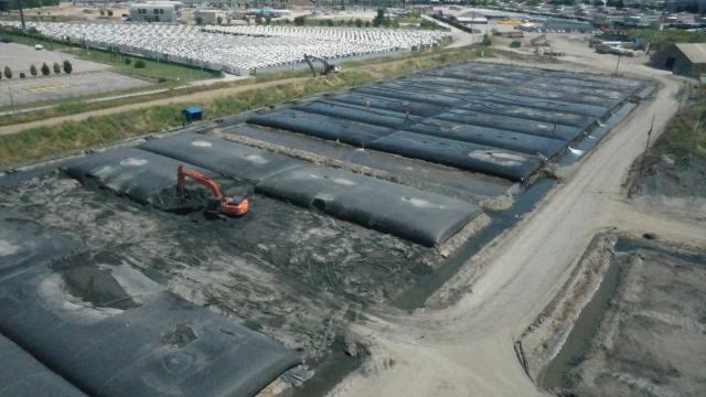 Dip çamurundan temizlenen İzmit Körfezi'nde canlılar yeniden hayat buluyor