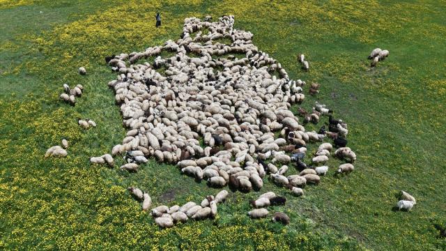 Keşiş Gölü yağışlarla canlandı, eşsiz doğasıyla ilgi odağı oldu