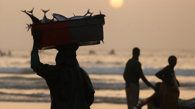 Senegal'de yaşamı şekillendiren okyanus artan tehditlerle karşı karşıya