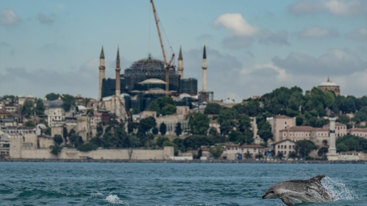Marmara`da onarıcı restorasyon çalışmaları