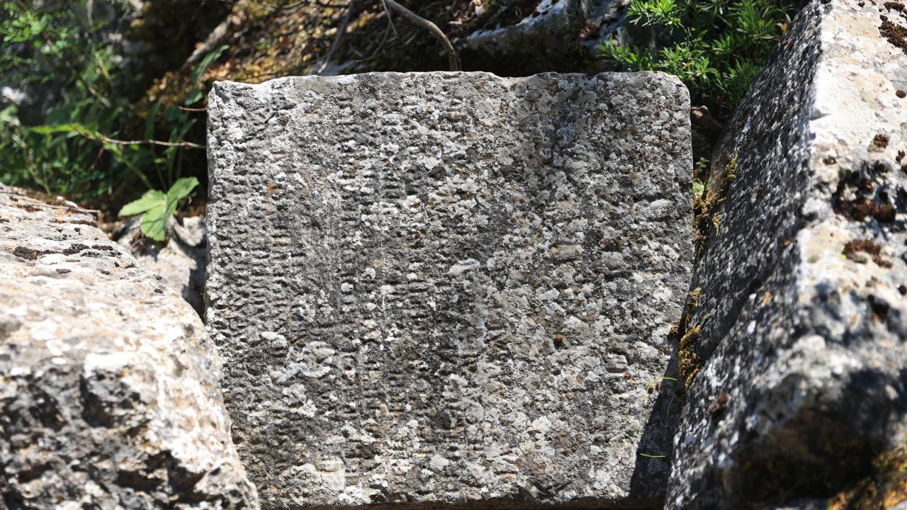 "Bağımsız Termossosluların hakları sonsuza kadar sürsün/baki kalsın"