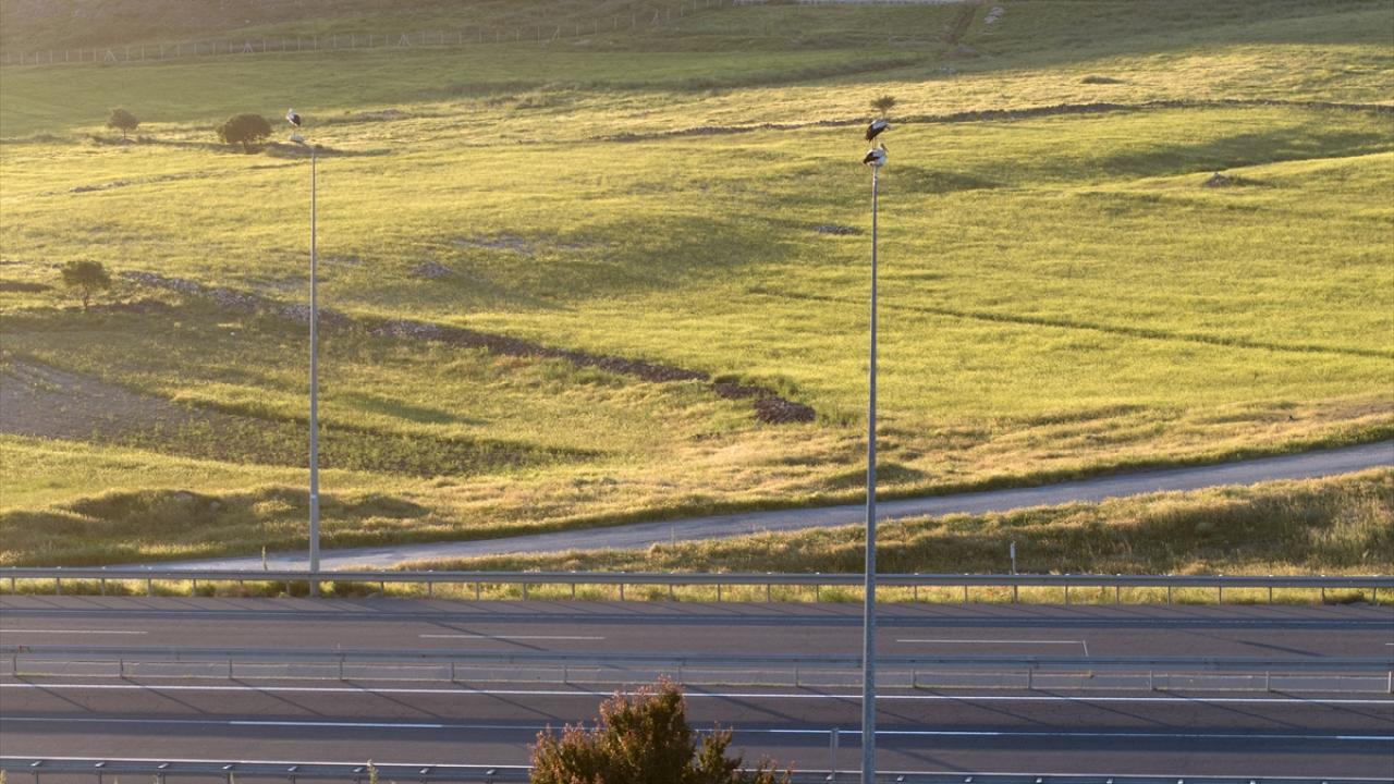 "Burası doğal bir parkmış gibi oluyor"