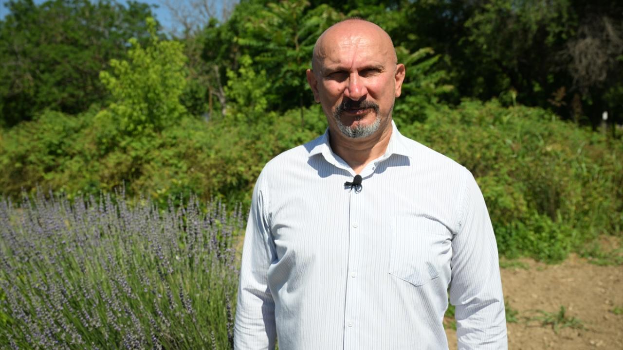 "Bölgenin cazibesi her yıl artıyor"