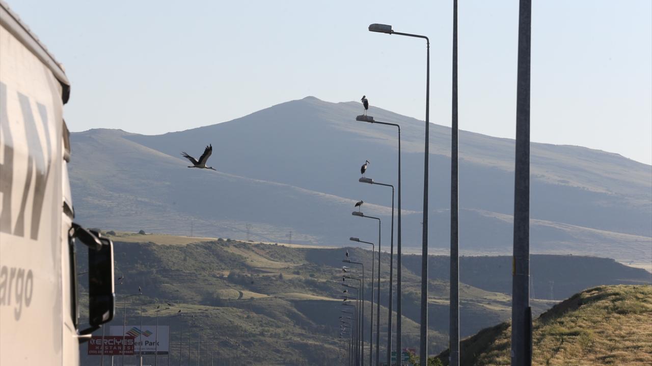 "Burası doğal bir parkmış gibi oluyor"