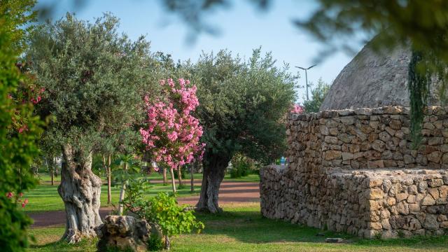 Botanik Park mevsim çiçekleriyle renklendi