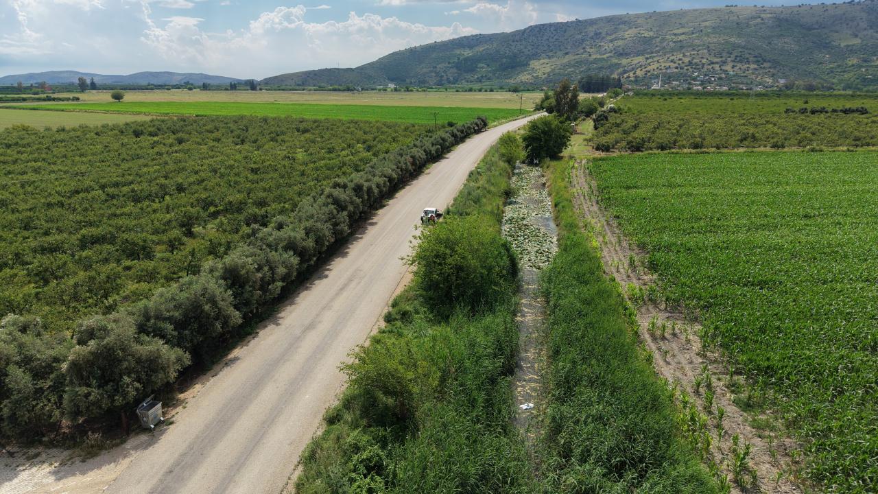 Kozan'da sarı nilüfer çiçekleri mest etti