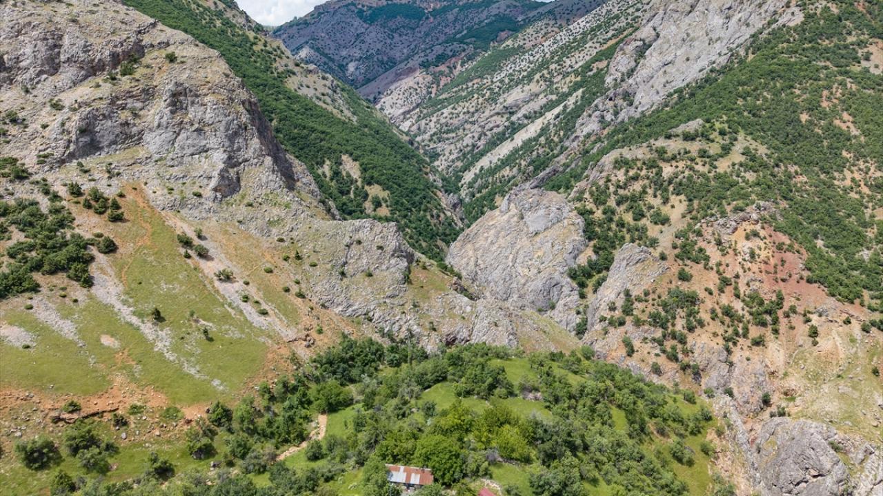 Kuşbakışı vadiyi izleyip yaban keçilerini doğal ortamlarında görüyorlar