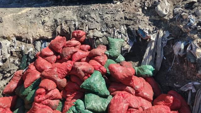 Soma'da bozuk 4 ton midye imha edildi
