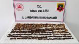 Bolu'da yabani salep toplayan kişiler 2 milyon lira ceza kesildi