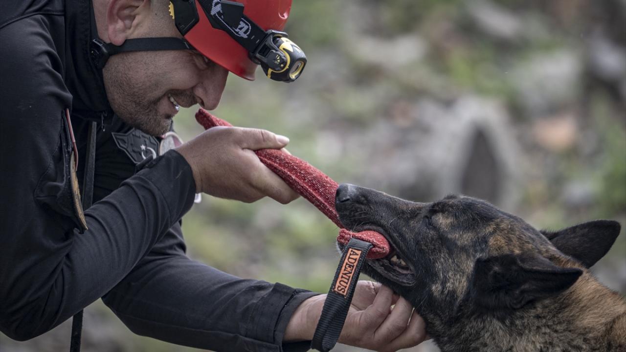 "Doğu Anadolu`daki belediyeler içinde belgeli tek canlı arama kurtarma köpeği"