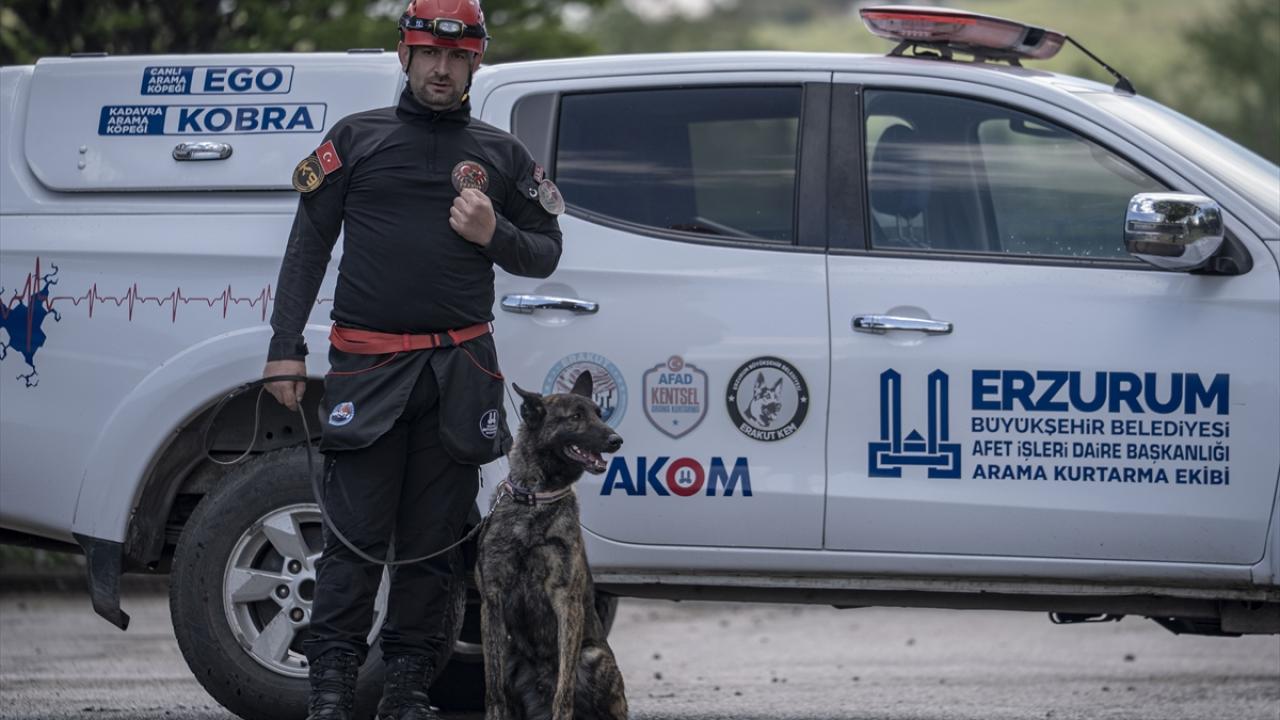3 yıl boyunca enkazlarda eğitildi