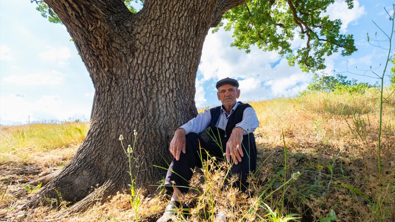 "Gölgesinde büyüdük"