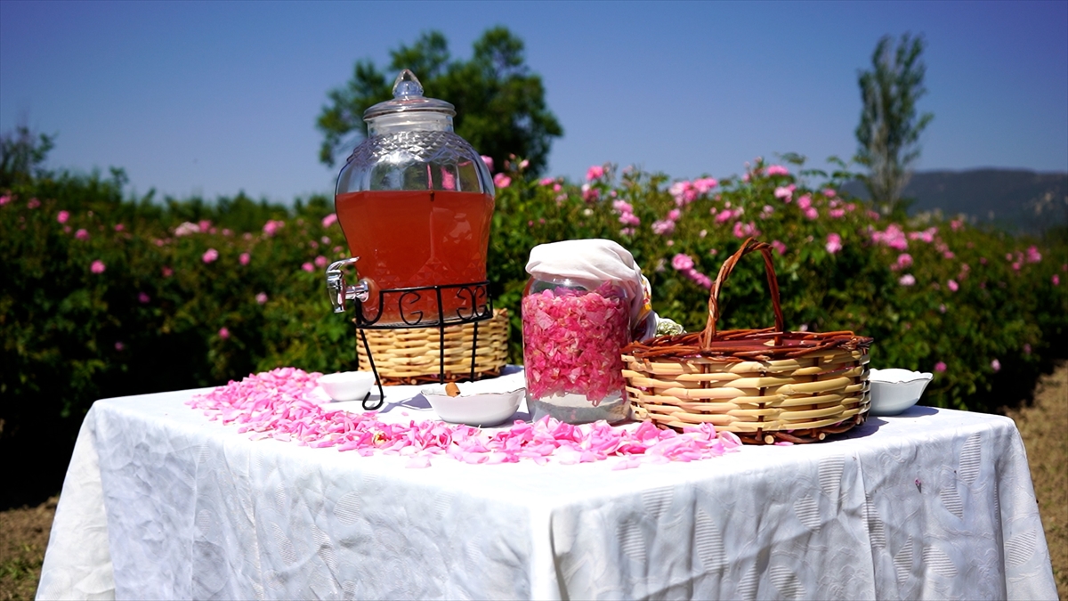 "Isparta gülünün aroması çok farklı"