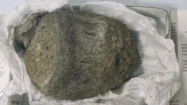Çekmecede unutulan fosil Antarktikanın ilk dinazoru çıktı