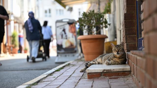 İstanbul'da sıcak hava etkili oldu
