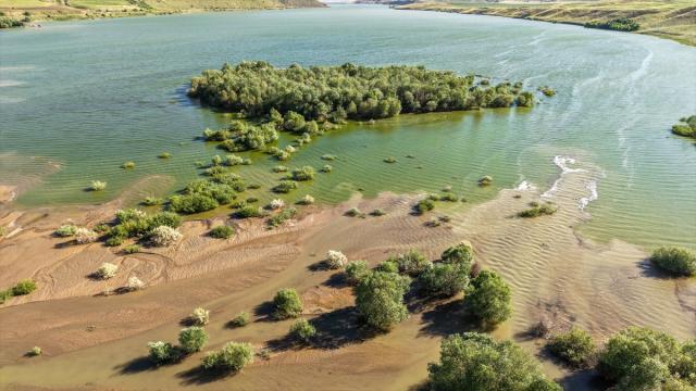 Van'daki Koçköprü Barajı'nın seviyesi yükseldi, ağaçların gövdesi suyla kaplandı