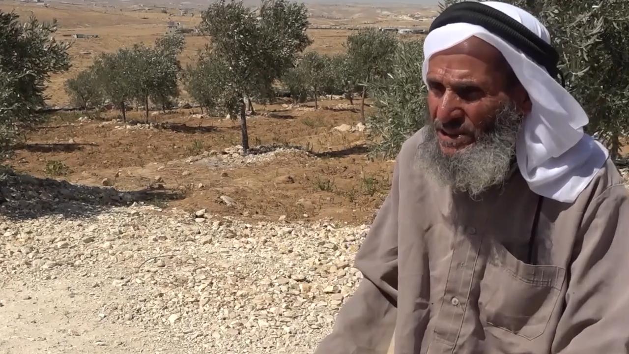 79 yaşındaki Filistinli: Saldırılara rağmen topraklarımda kalacağım