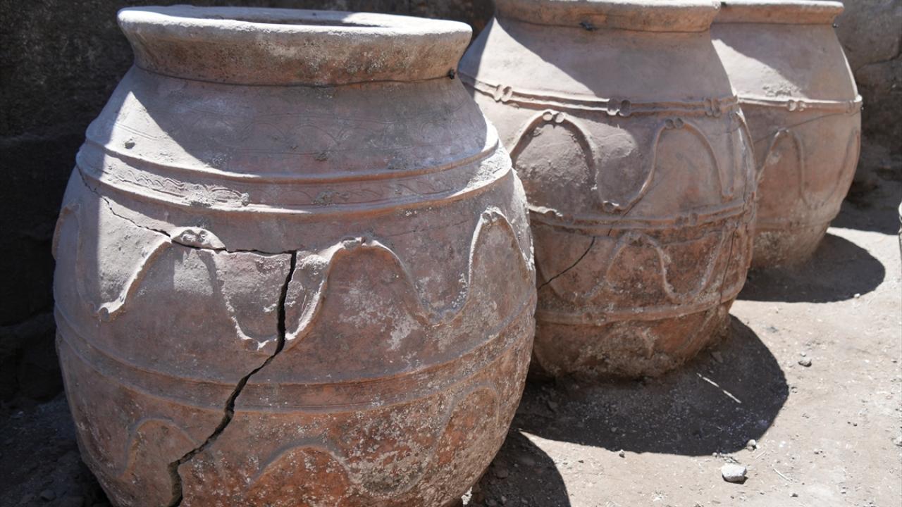 Küplerin boyu 1 metreyi aşıyor