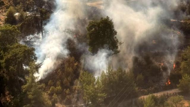 Antalya'da ormanlık alanda yangın çıktı haber görseli