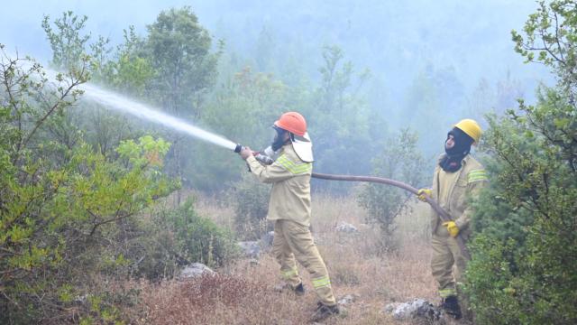 Antalya'da orman yangını haber görseli