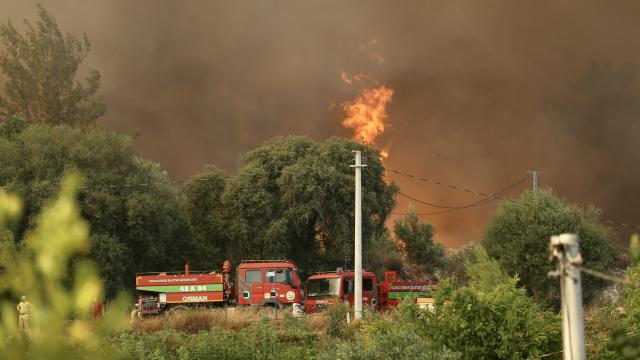 Fethiye'deki orman yangınına müdahale ediliyor haber görseli