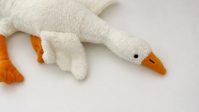 Bakanlık duyurdu: Peluş kaz oyuncağı piyasadan toplatılıyor haber görseli