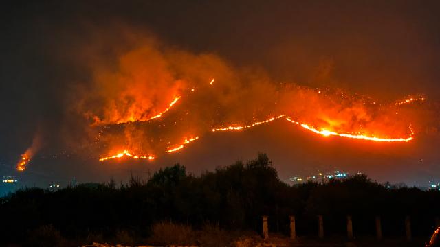 İtalya'nın Sicilya Adası orman yangınlarıyla mücadele ediyor haber görseli
