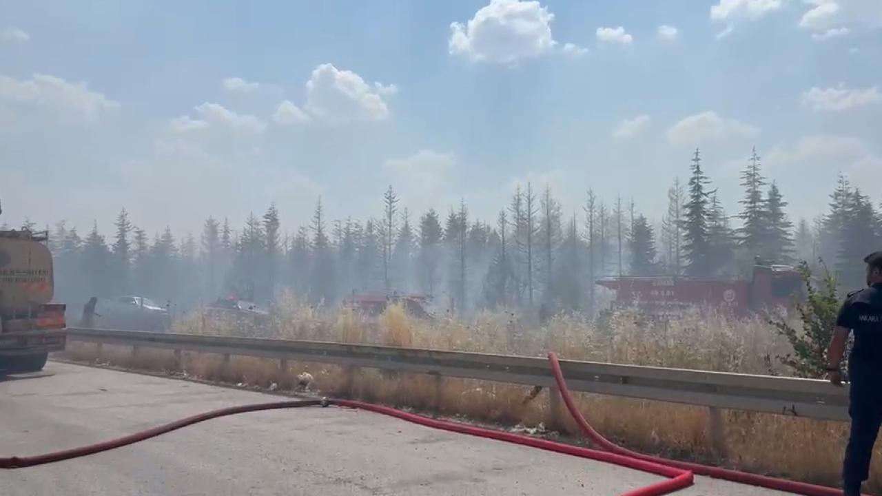 Ankara'da otluk alanda yangın