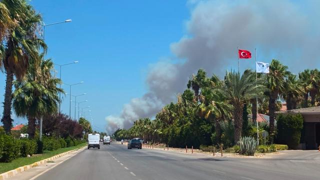 Antalya'da orman yangını haber görseli