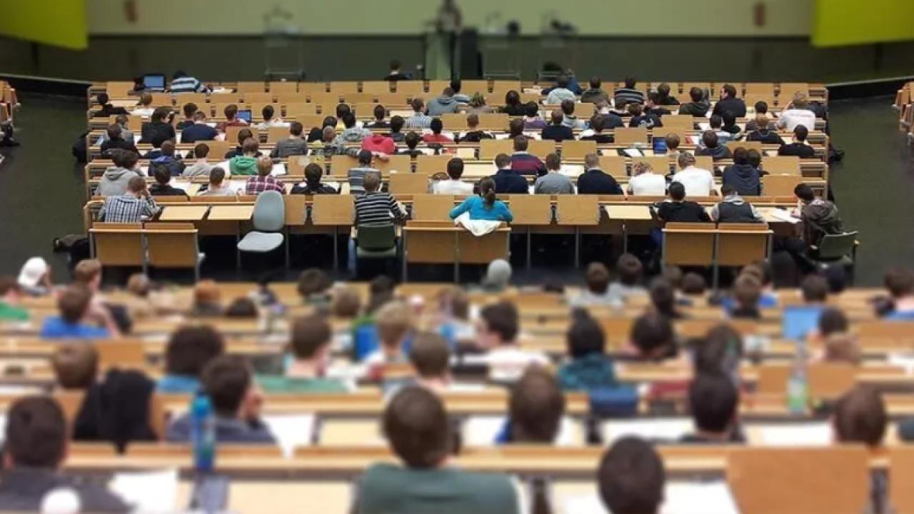 3 - 34 yaş üstü kadın, şehit ve gazi eş ve çocukları ve gazi olan adaylara yönelik kılavuzda neler bulunuyor?