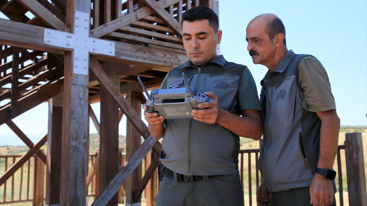 Yaban hayatına sıkı koruma