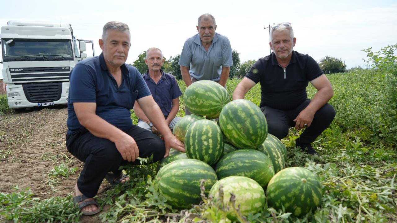 "Bafra Ovası çok verimli topraklara sahip"