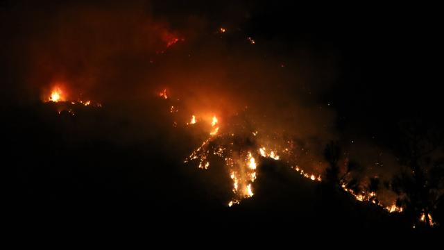 Kaş'taki orman yangınına müdahale sürüyor haber görseli