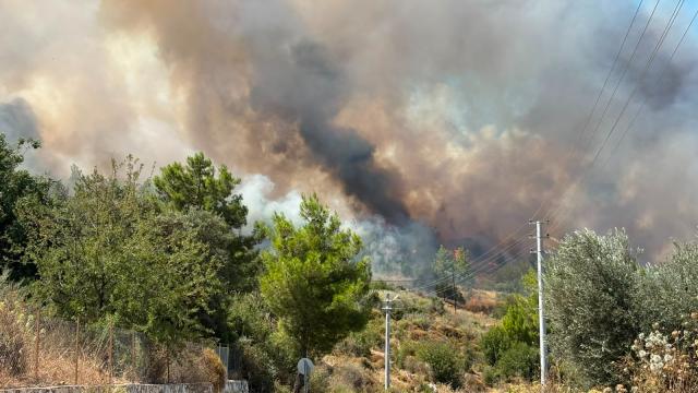 Antalya Kumluca'daki orman yangınına müdahale ediliyor haber görseli
