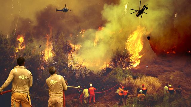 4 noktada alevlerle mücadele sürüyor haber görseli