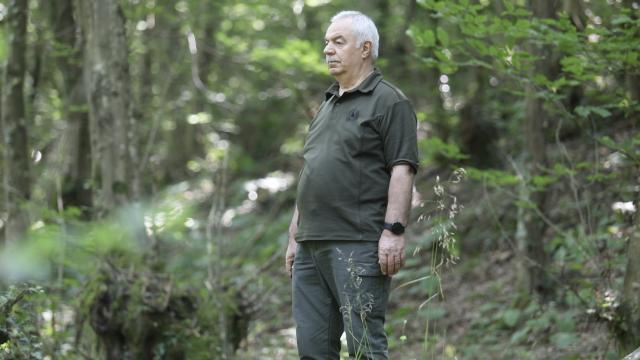 Ormanlara adanmış 41 yıl haber görseli