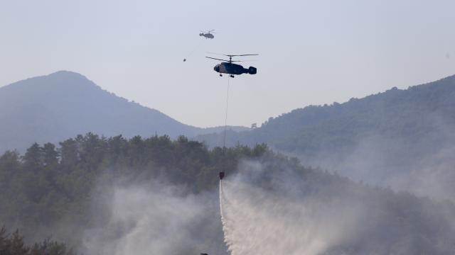 Bakan Yumaklı: Fethiye'deki orman yangını tamamen kontrol altına alındı haber görseli