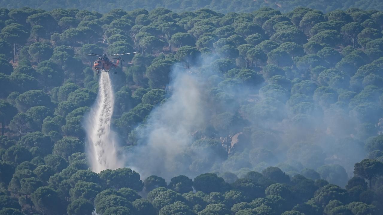 İletişim Başkanlığından orman yangınları açıklaması