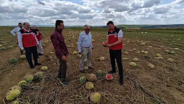 Tekirdağ'da tarım arazilerinde hasar tespit çalışmaları sürüyor haber görseli
